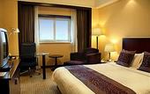 Туры в отель Holiday Inn Downtown Shanghai