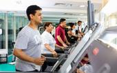 Туры в отель Holiday Inn Dubai Al Barsha