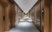 Туры в отель Hampton by Hilton Dongguan Fenggang
