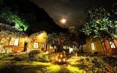 Туры в отель green mountain homestay