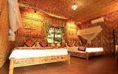 Туры в отель green mountain homestay
