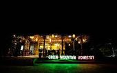 Туры в отель green mountain homestay