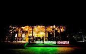 Туры в отель green mountain homestay