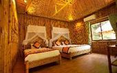 Туры в отель green mountain homestay