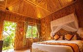 Туры в отель green mountain homestay