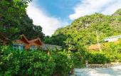 Туры в отель green mountain homestay