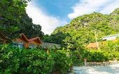 Туры в отель green mountain homestay