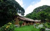 Туры в отель green mountain homestay