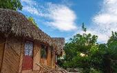 Туры в отель green mountain homestay