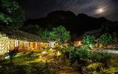 Туры в отель green mountain homestay