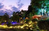 Туры в отель green mountain homestay