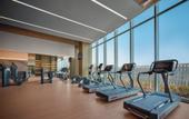 Туры в отель Holiday Inn WUHAN TIANHE AIRPORT by IHG