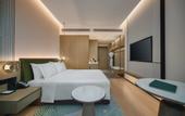 Туры в отель Holiday Inn WUHAN TIANHE AIRPORT by IHG