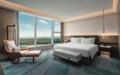 Туры в отель Holiday Inn WUHAN TIANHE AIRPORT by IHG