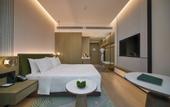 Туры в отель Holiday Inn WUHAN TIANHE AIRPORT by IHG