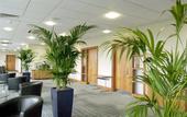 Туры в отель Holiday Inn Edinburgh