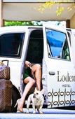 Туры в отель Loden Hotel