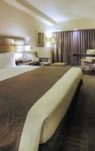 Туры в отель Ibis Styles Sapporo (ex Best Western Hotel Sapporo Nakajima Koen)