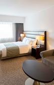 Туры в отель Ibis Styles Sapporo (ex Best Western Hotel Sapporo Nakajima Koen)