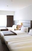 Туры в отель Ibis Styles Sapporo (ex Best Western Hotel Sapporo Nakajima Koen)