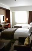 Туры в отель Ibis Styles Sapporo (ex Best Western Hotel Sapporo Nakajima Koen)