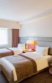 Туры в отель Ibis Styles Sapporo (ex Best Western Hotel Sapporo Nakajima Koen)