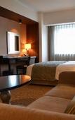 Туры в отель Ibis Styles Sapporo (ex Best Western Hotel Sapporo Nakajima Koen)