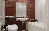 Туры в отель Mitsui Garden Hotel Sapporo