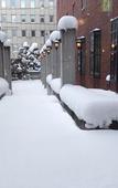 Туры в отель Hotel Sosei Sapporo - MGallery Collection