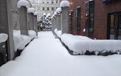 Туры в отель Hotel Sosei Sapporo - MGallery Collection