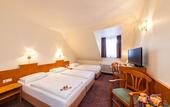 Туры в отель Hotel Ahl Meerkatzen