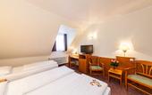 Туры в отель Hotel Ahl Meerkatzen