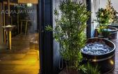 Туры в отель Everness Hotel & Resort