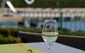 Туры в отель Everness Hotel & Resort