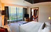 Туры в отель Hyatt Regency Gurgaon