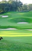 Туры в отель Joondalup Resort