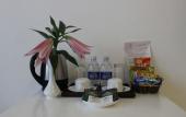 Туры в отель Luxor Boutique Hotel