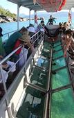 Туры в отель Fitzroy Island Resort