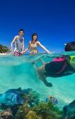 Туры в отель Fitzroy Island Resort