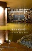 Туры в отель Toyako Manseikaku Hotel Lakeside Terrace