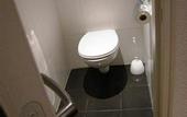 Туры в отель ibis Styles Toulouse Blagnac Aeroport