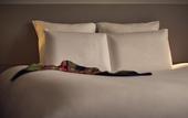 Туры в отель FirstName Toulouse, part of JdV by Hyatt