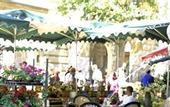 Туры в отель Odalys City Apartment Hotel - Aix en Provence Centre Palais des Congres