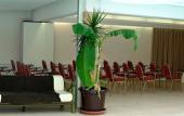 Туры в отель Poggio Hotel
