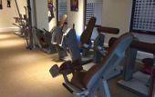 Туры в отель The Heron By Sarovar Portico India