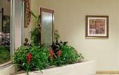 Туры в отель Holiday Inn Express Charleston (US 17 & I-526)
