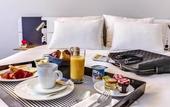 Туры в отель Novotel Orleans St Jean de Braye