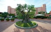 Туры в отель Four Points by Sheraton Siena