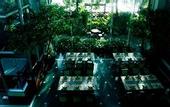 Туры в отель Krungsri River Hotel