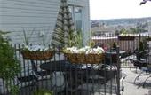 Туры в отель Holiday Inn Express Downtown